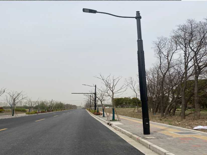 涡阳县上海综合杆 太阳能路灯工程